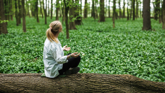 Health Lessons Learned in 2025