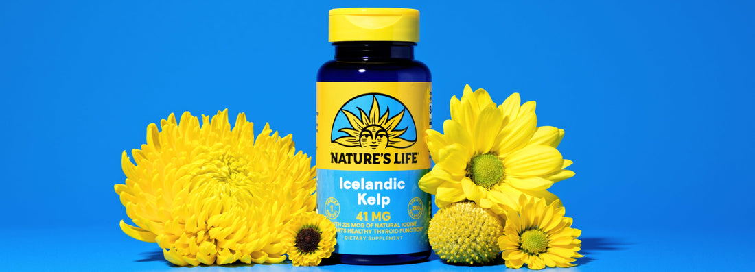 Know Your Superfoods: Icelandic Kelp is Sea-Born Way to Support Thyroid Health