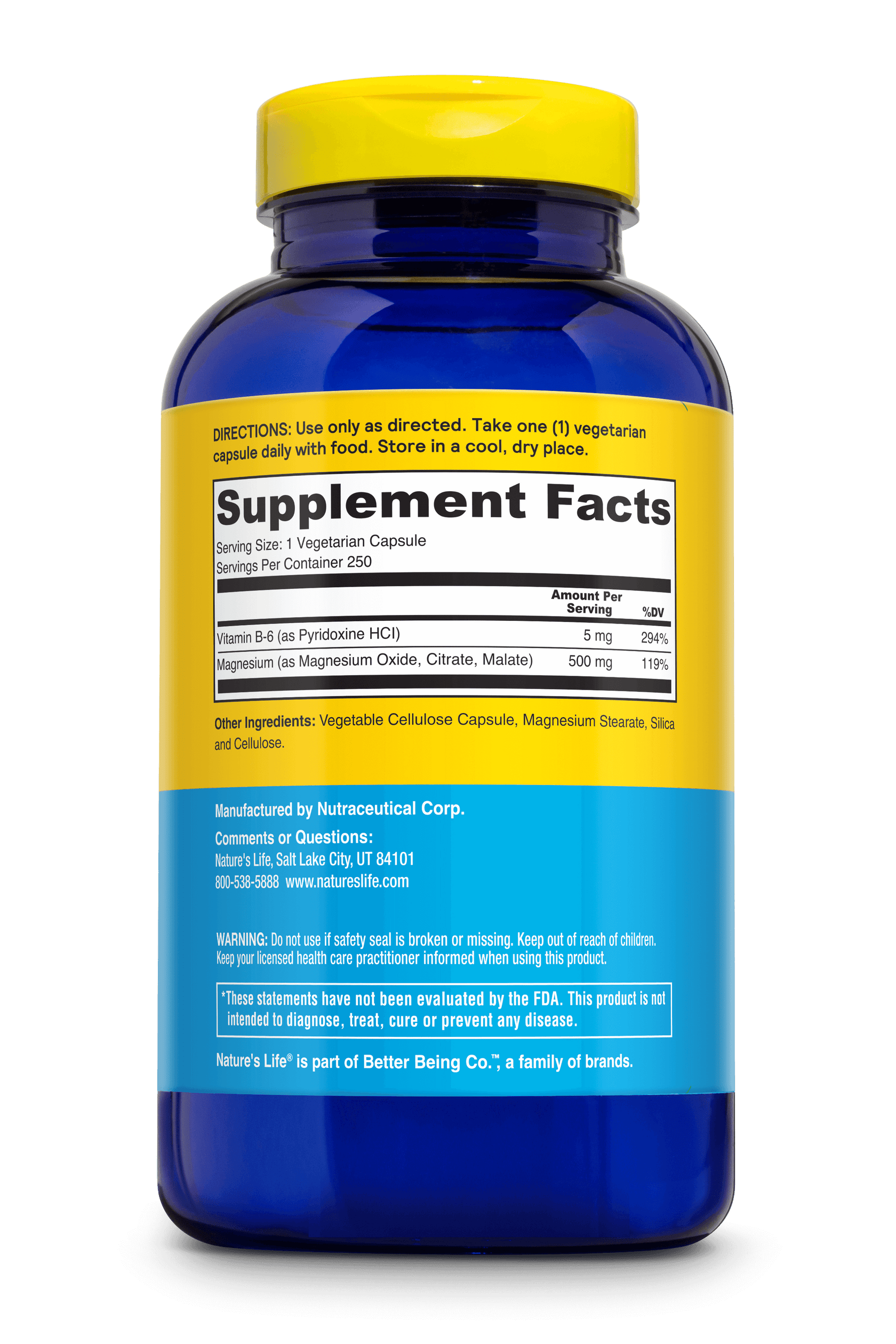 Nature's Life Magnesium 500 mg